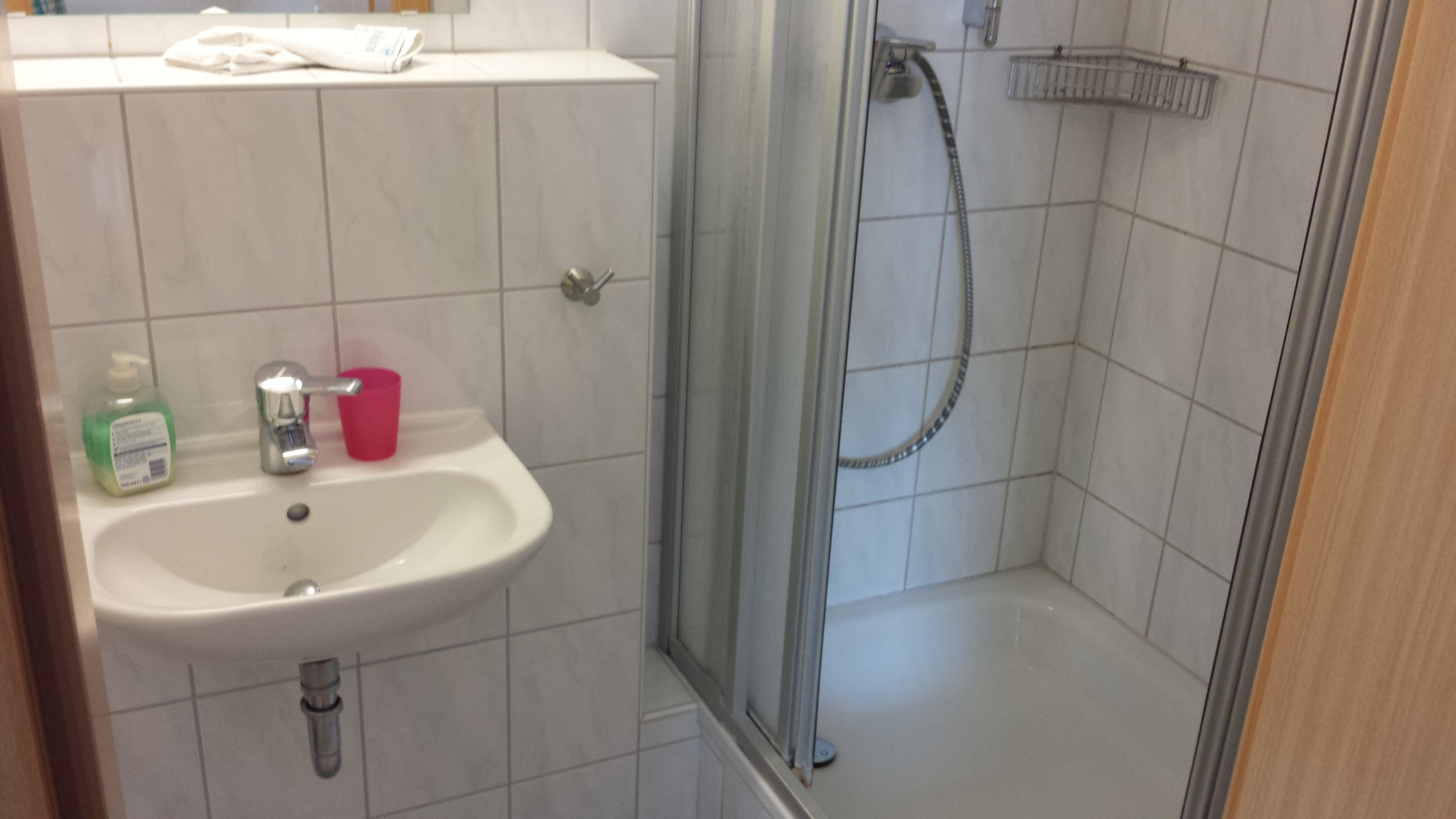 Bad in Zimmer 002 mit Dusche und Waschbecken